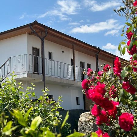 Vila Bloom Vama Veche Buitenkant foto