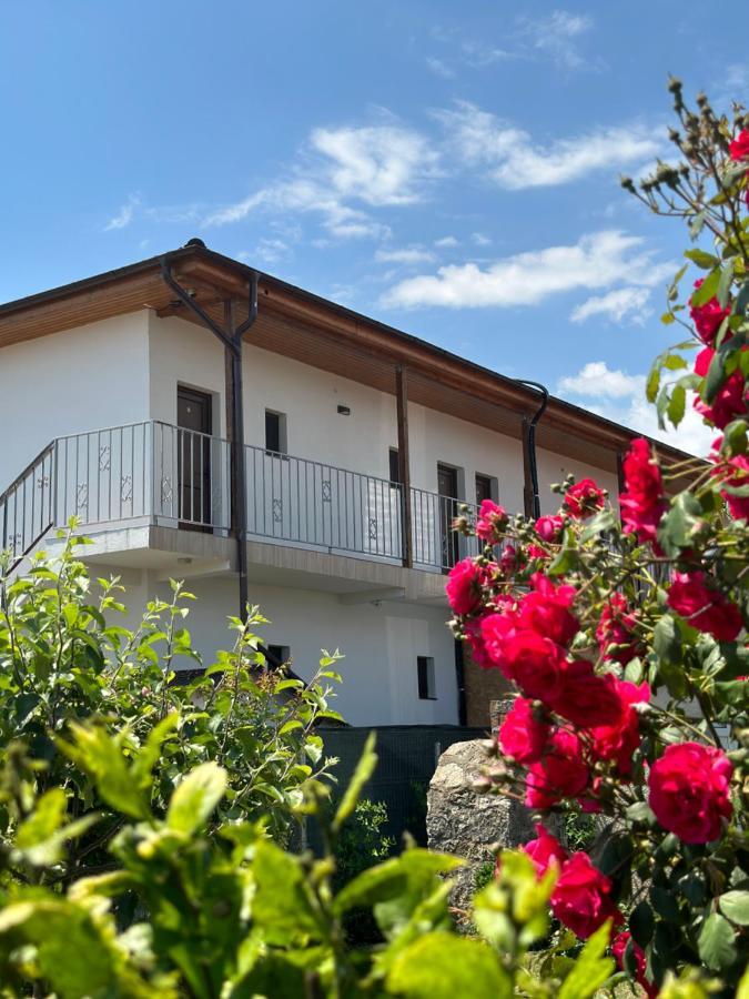 Vila Bloom Vama Veche Buitenkant foto